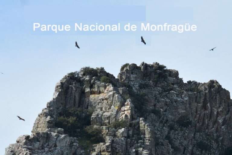 Parque Nacional de Monfragüe (Cáceres)