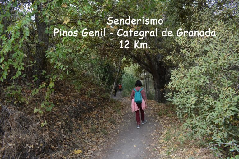 Un paseo por el río Genil a su entrada a Granada